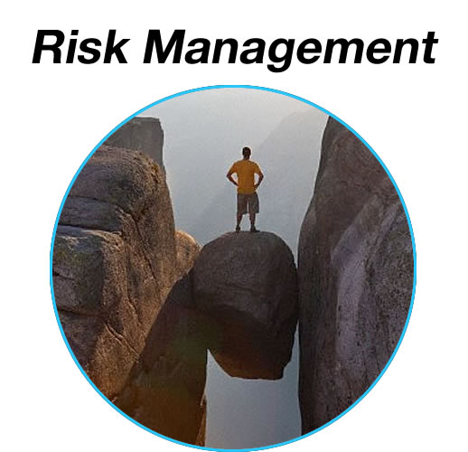 Promo Risk Management